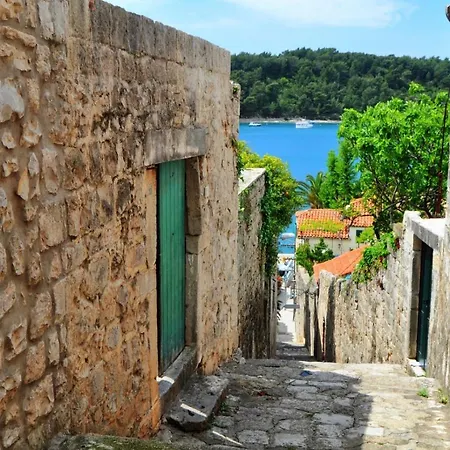 In With Sea View, Balcony, Air Conditioning, W-lan 3686-1 Cavtat